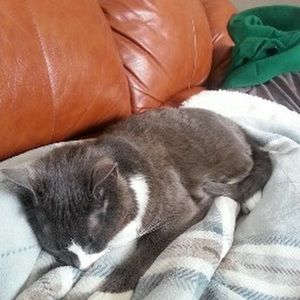 Meet your Posher, Laura